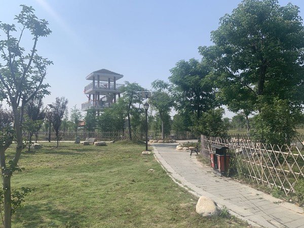 蚌埠市天公河及席家溝部分岸線(xiàn)環(huán)境綜合治理工程（天河張公湖連通工程）施工Ⅱ標 (1).jpg